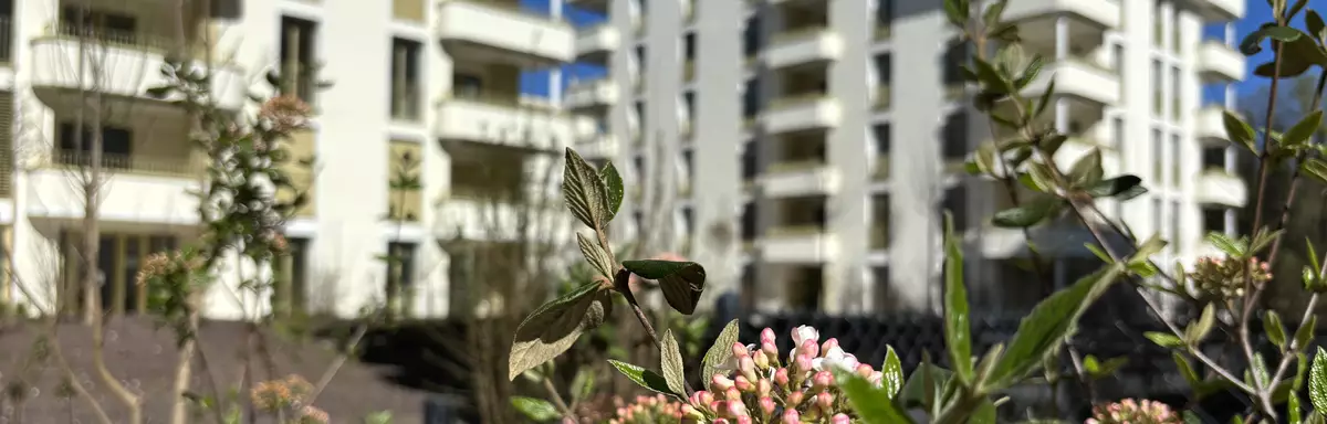 Le quartier durable du MIC est verdoyant