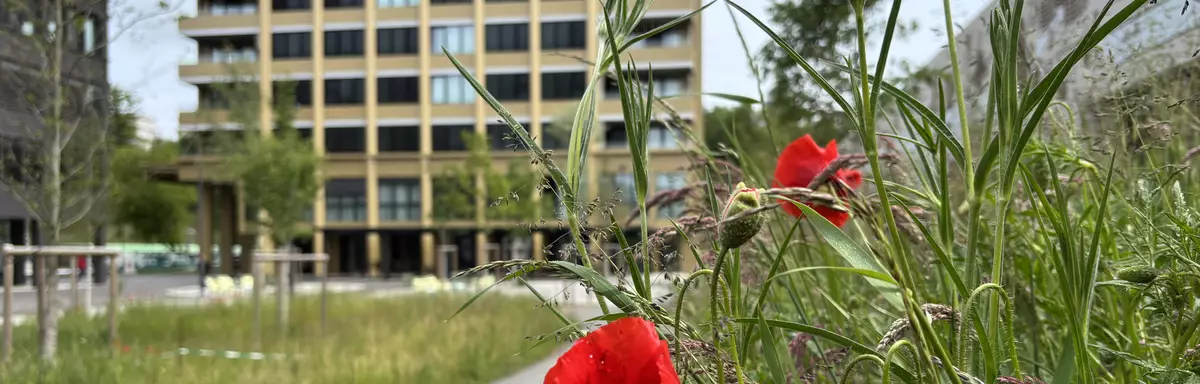 Le MIC dispose de locaux professionnels et d'un hotel 4 étoiles