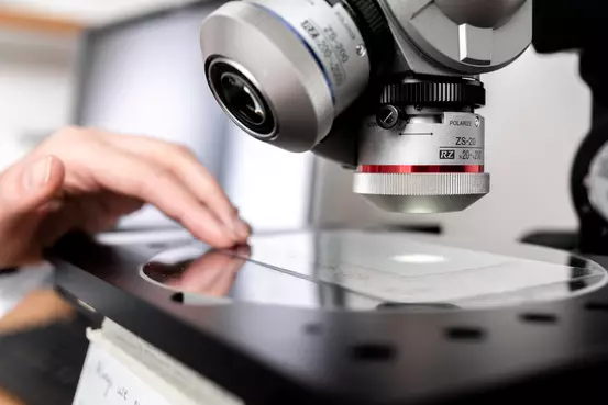 microscope